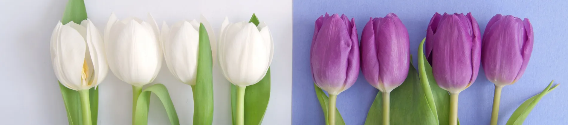Florists in California