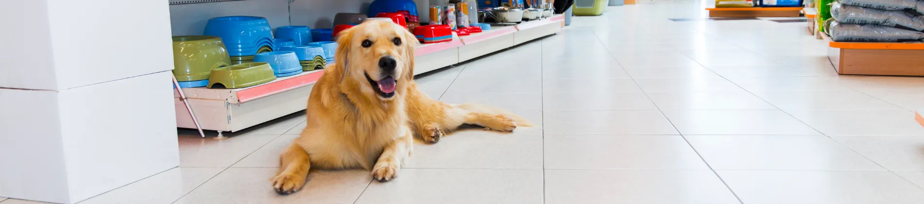 Animals & Pets in Florida