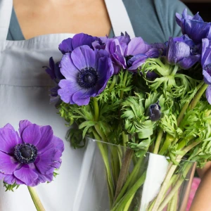Fresh bouquets and flower delivery from local New Jersey florists on DealMagik