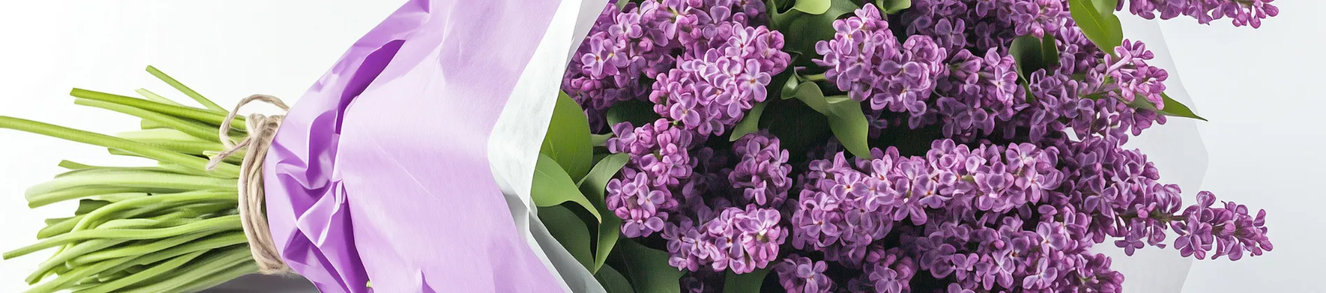 Florists in New Jersey
