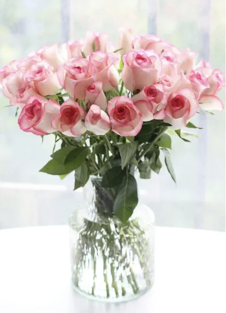 Pink Roses