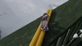 Taper Candle