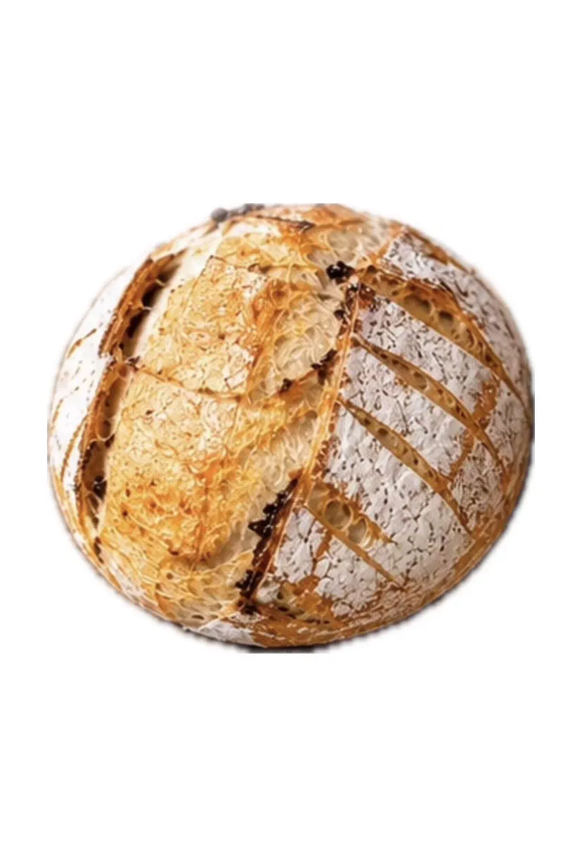 Sourdough Bread