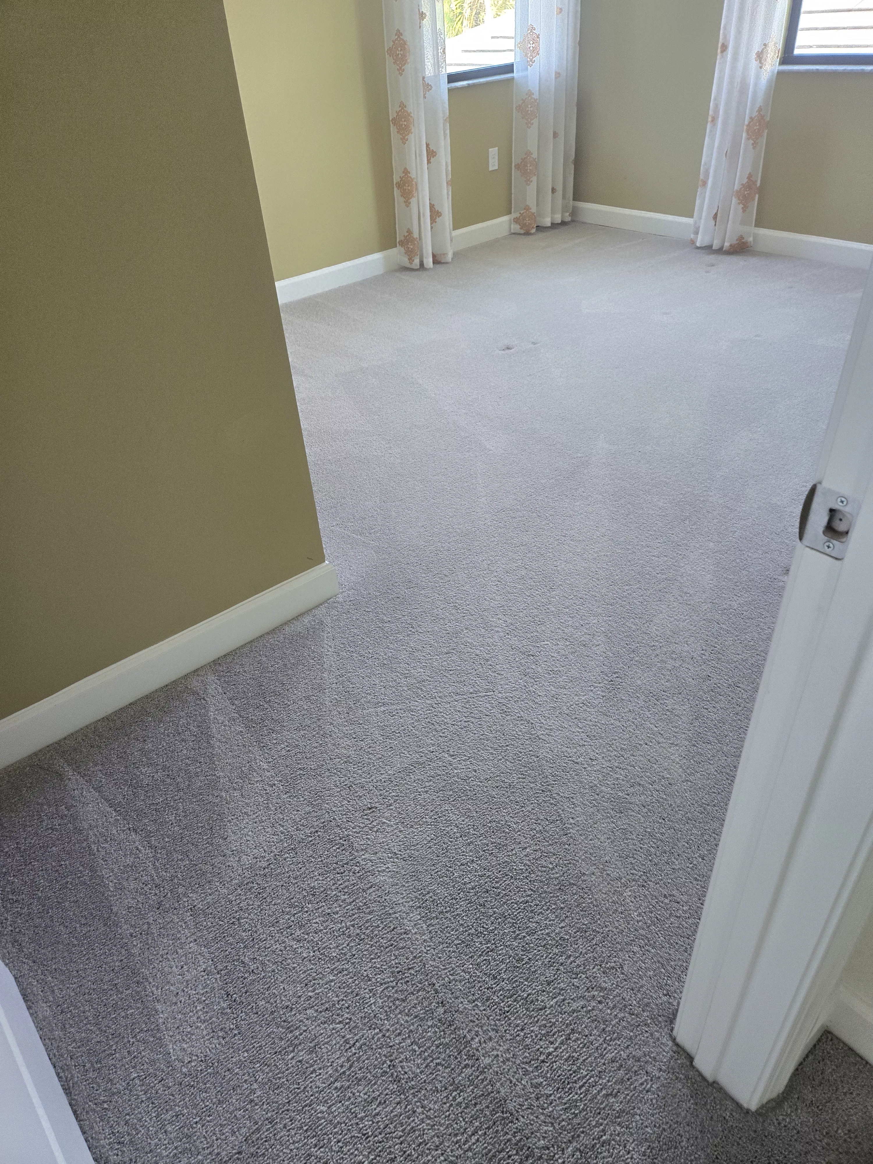 Discount on Carpet Cleaning & Deodorizing Service