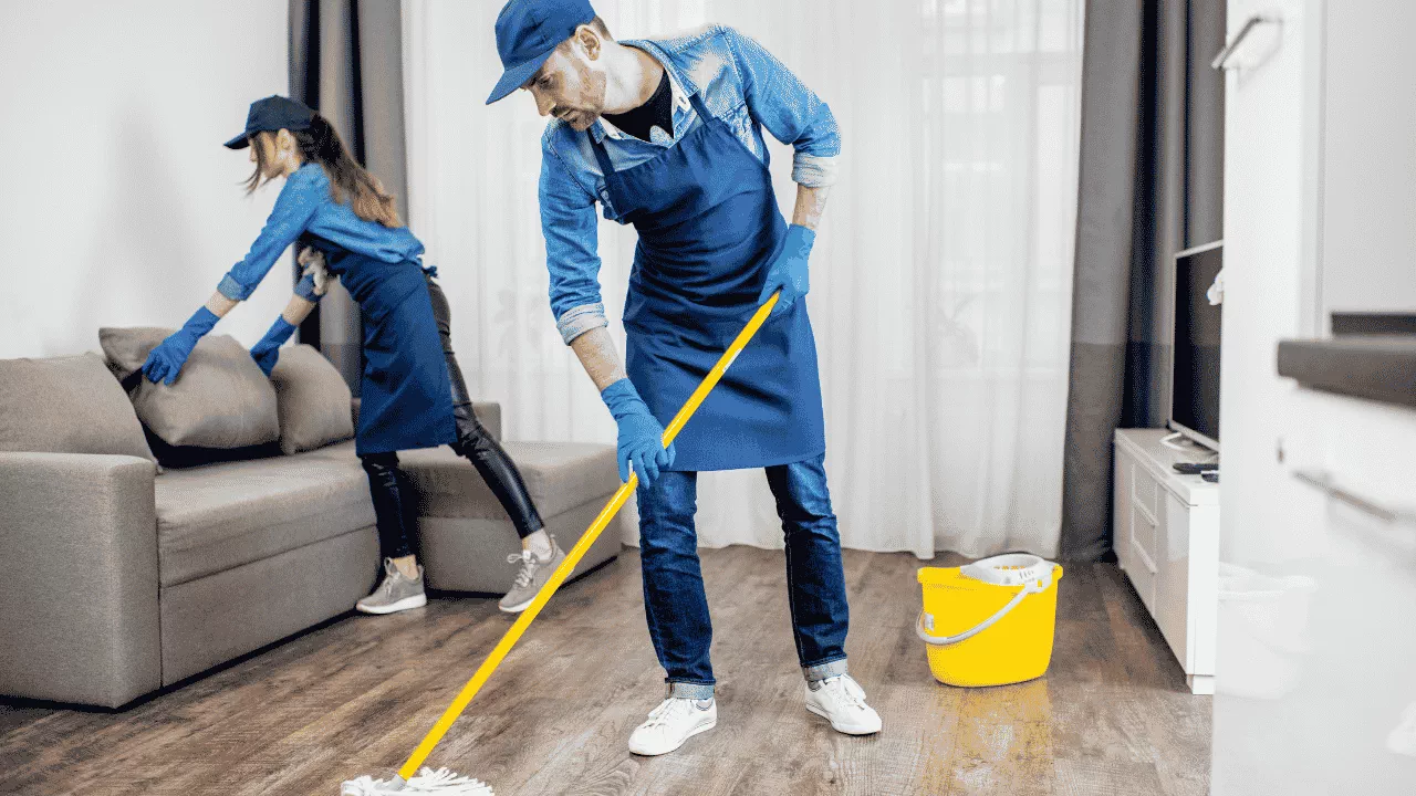 Basic Cleaning