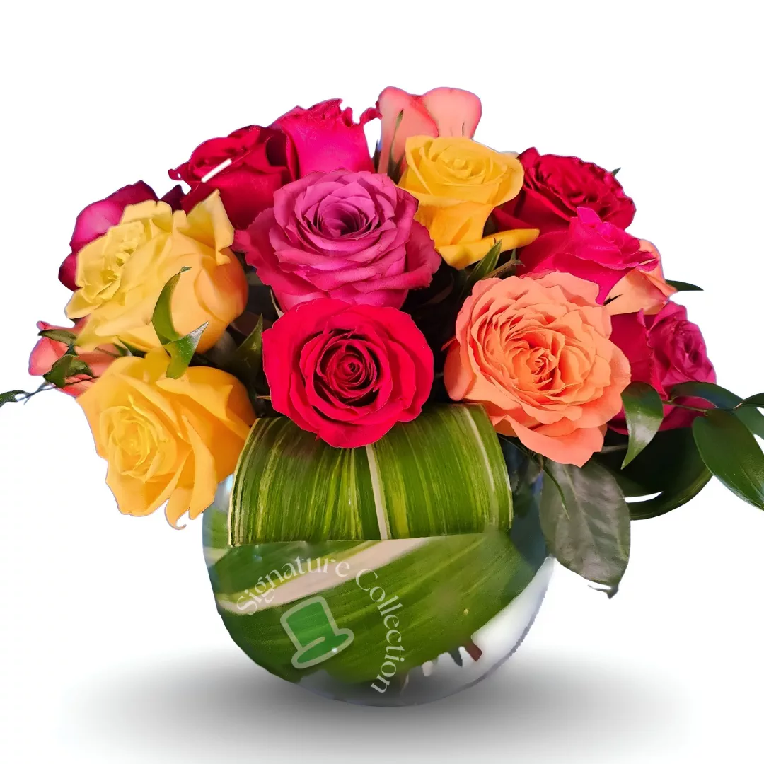 24-Rose Multicolor Arrangement