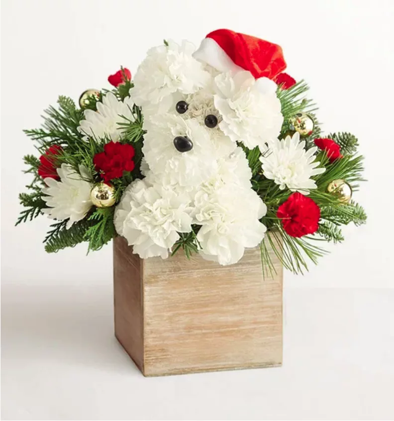 Santa Paws